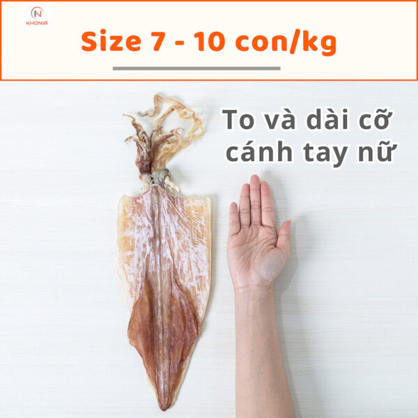 Mực Khô Ngon (Mực Câu) 8 1