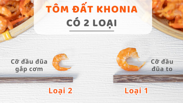 Tôm thẻ thiên nhiên 10 13 (3)