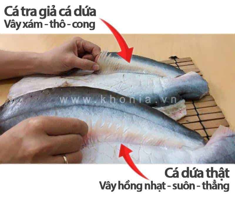 kho-ca-dua-gia-bao-nhieu mua-kho-ca-dua-o-dau