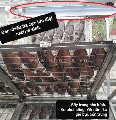 Khô Cá Sặc Sấy - Ảnh 9