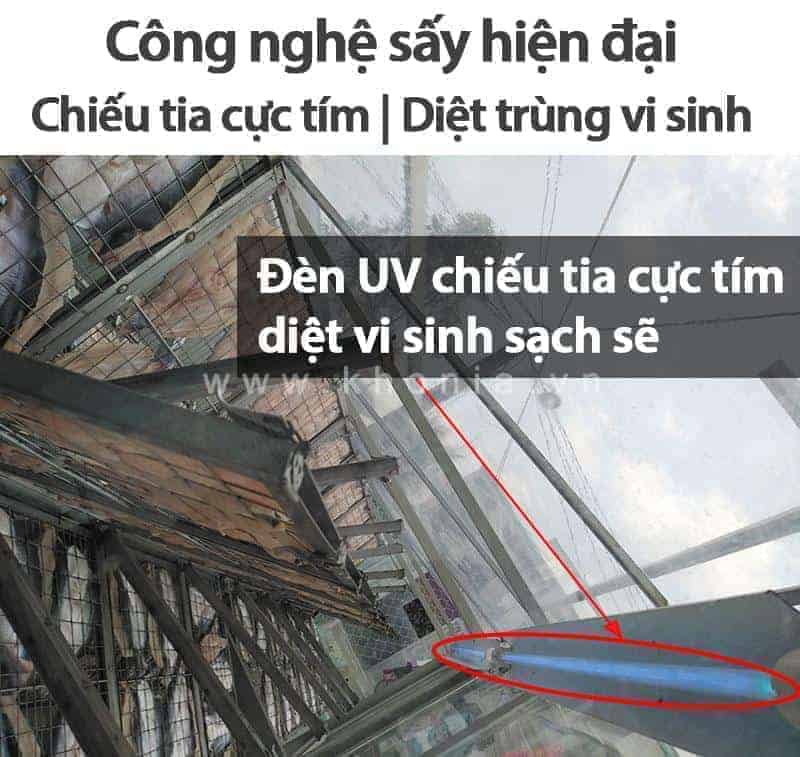 Khô Cá Dứa 1 Nắng (Sấy Tiệt Trùng) - Ảnh 7