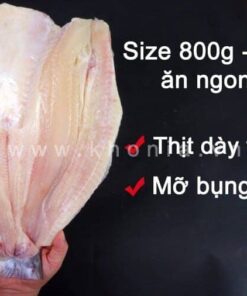 Alternative view of Khô Cá Dứa 1 Nắng (Sấy Tiệt Trùng)