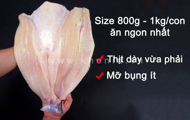 Khô Cá Dứa 1 Nắng (Sấy Tiệt Trùng) - Ảnh 2