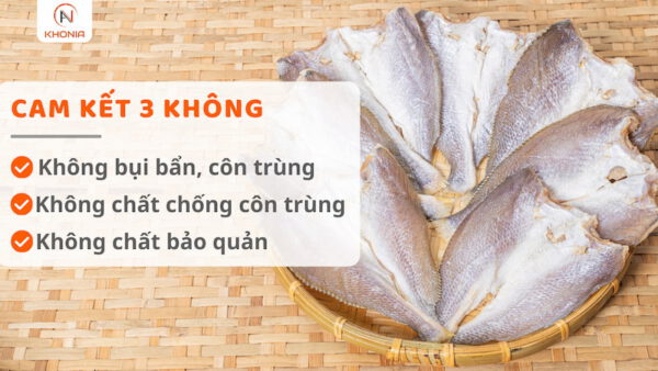 Khô Cá Đù 3 Nắng Sấy Dẻo 1 3 KHÔNG CÁ ĐÙ 3 NẮNG