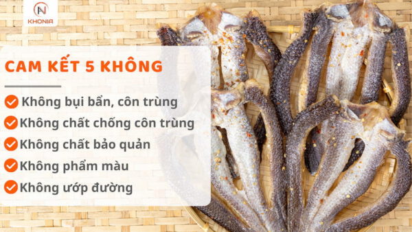 Khô Cá Lóc Sấy - Vị Vừa Ăn 1 5 KHÔNG CÁ LÓC 3N (1) (1)