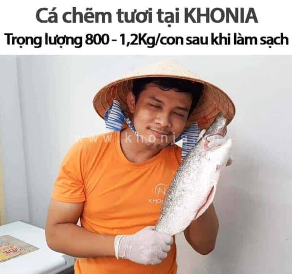 ca-chem-gia-bao-nhieu-1kg