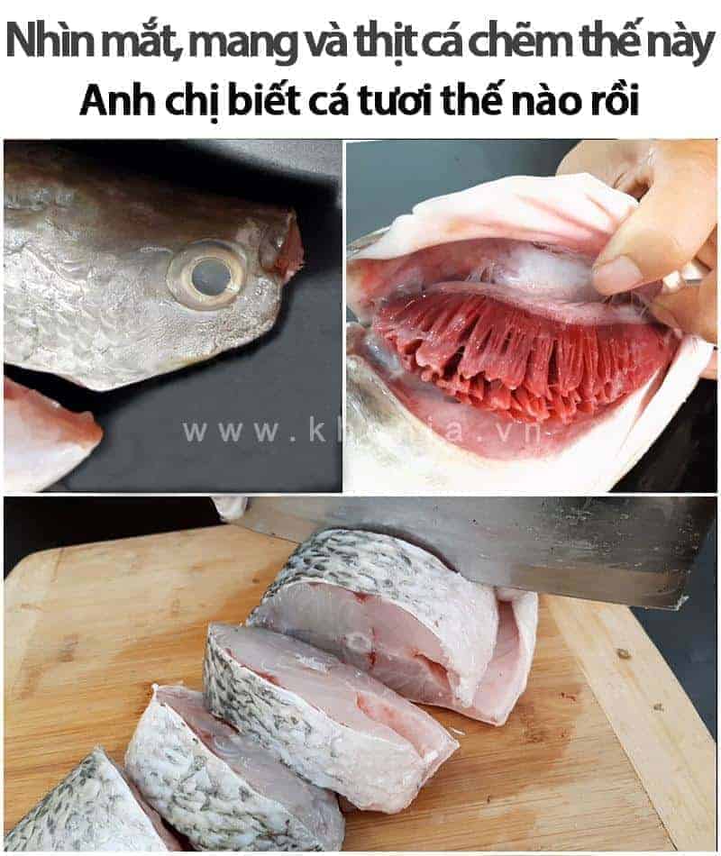 ca-chem-gia-bao-nhieu-1kg ca-chem-gia-bao-nhieu-1kg