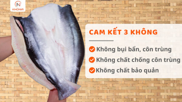 Khô Cá Dứa 1 Nắng (Sấy Tiệt Trùng) 1 AVT CÁ DỨA 1 NẮNG
