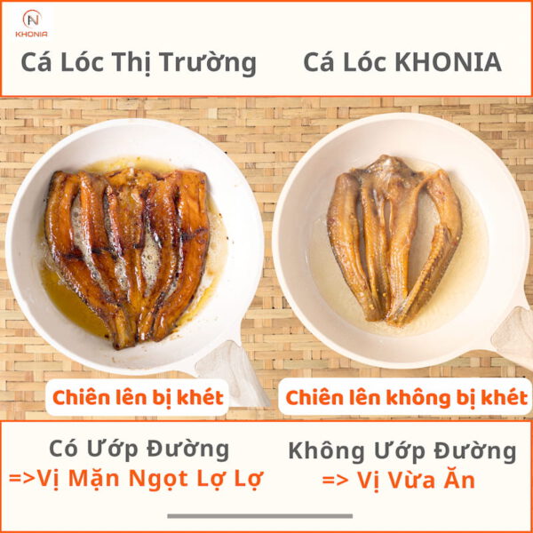Khô Cá Lóc Sấy - Vị Vừa Ăn 8 CÁ SẶC CÓ BỌT (2) (1)