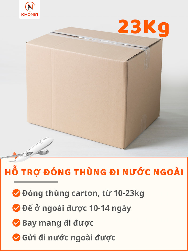 Khô Cá Sặc Sấy 13 CARTON