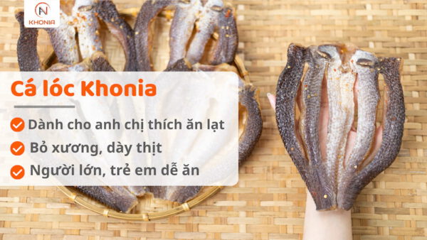 Khô Cá Lóc Sấy - Vị Vừa Ăn 6 Ca loc khonia