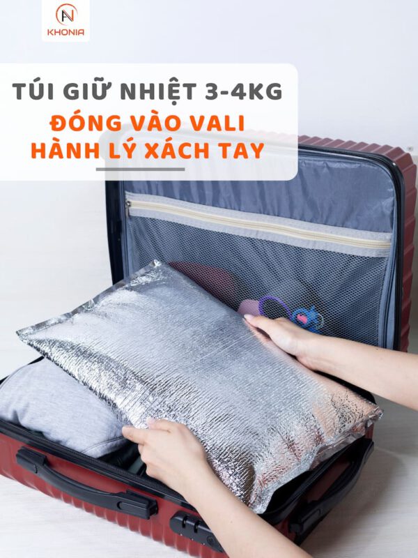 Khô Cá Dứa 1 Nắng (Sấy Tiệt Trùng) 15 ĐÓNG VÀO VALI TÚI GIỮ NHIỆT (2)