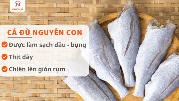 Cá Đù 1 Nắng 8 ĐÙ NGUYÊN CON