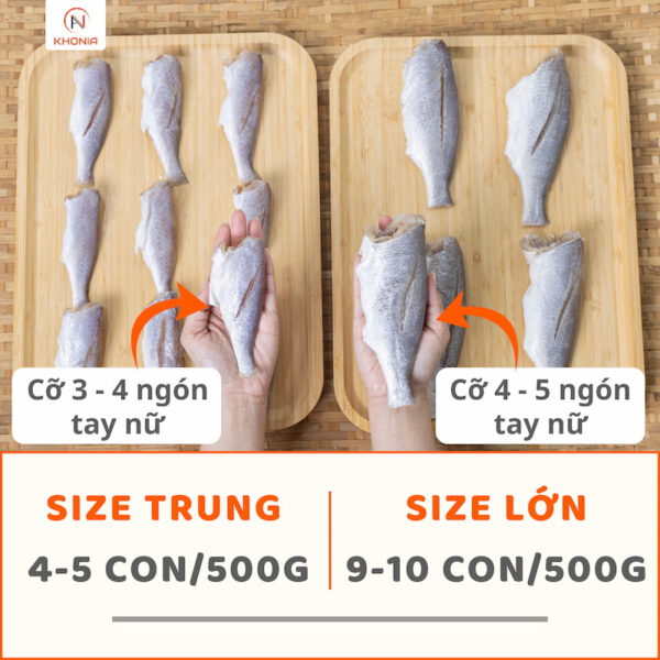 Cá Đù 1 Nắng 10 KÍCH CỠ ĐÙ NGUYÊN CON