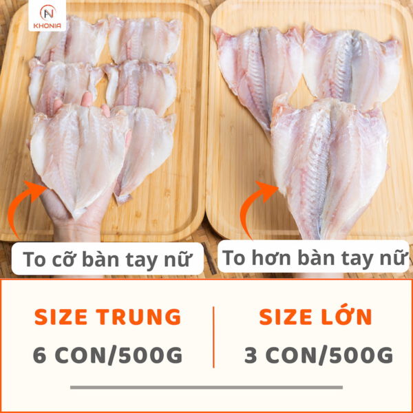 Cá Đù 1 Nắng 7 KÍCH CỠ ĐÙ PHI LÊ