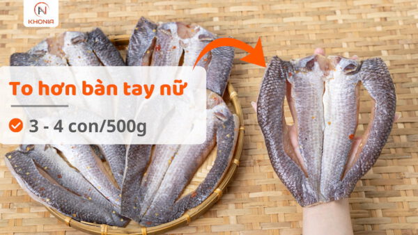 Khô Cá Lóc 1 Nắng ( Gói 500g ) 9 KÍCH CỠ LÓC 1N