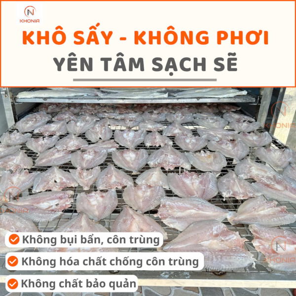Khô Cá Đù 3 Nắng Sấy Dẻo 4 SẤY CÁ ĐÙ