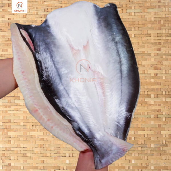 THIẾT KẾ SẢN PHẨM KHONIA - PHÔNG VUÔNG (11)