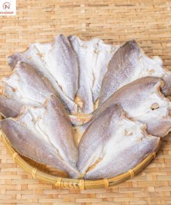 THIẾT KẾ SẢN PHẨM KHONIA - PHÔNG VUÔNG (3)