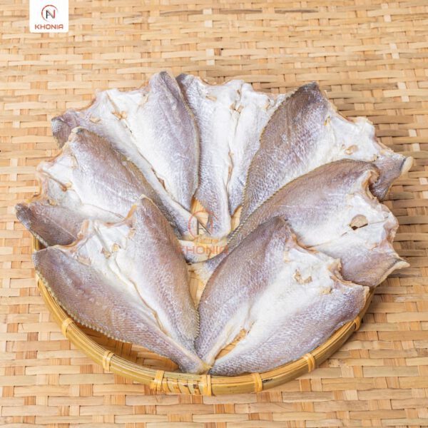 THIẾT KẾ SẢN PHẨM KHONIA - PHÔNG VUÔNG (3)