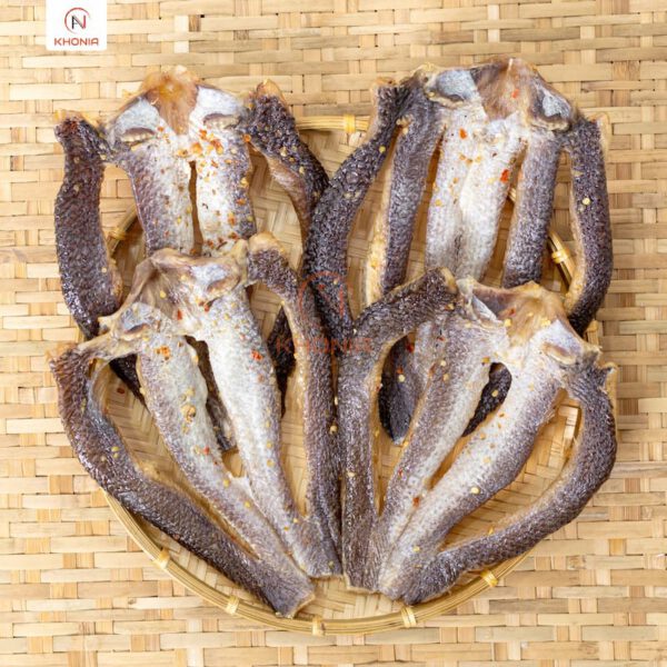 THIẾT KẾ SẢN PHẨM KHONIA - PHÔNG VUÔNG (4)