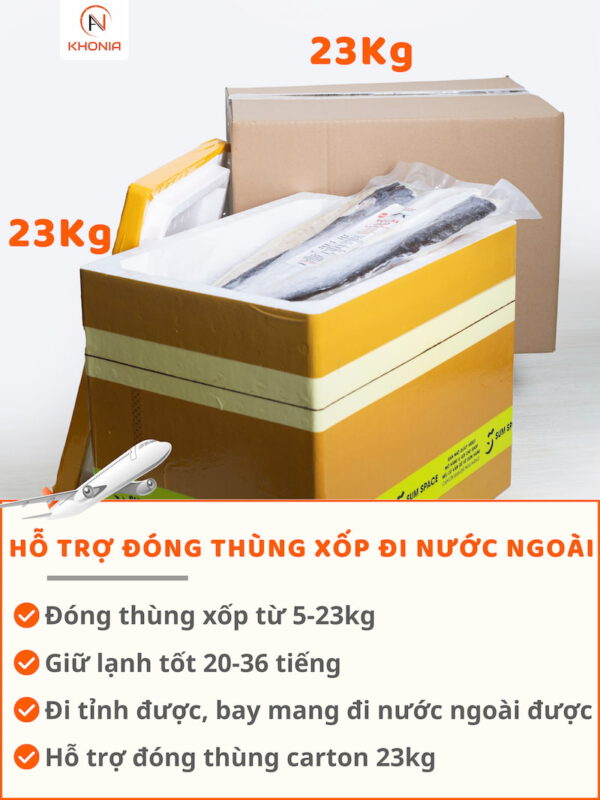 Khô Cá Dứa 1 Nắng (Sấy Tiệt Trùng) 16 THÙNG XỐP + CARTON (3)