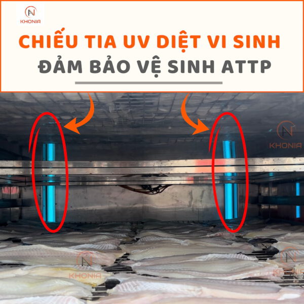 Cá Đù 1 Nắng 4 TIA UV (3)