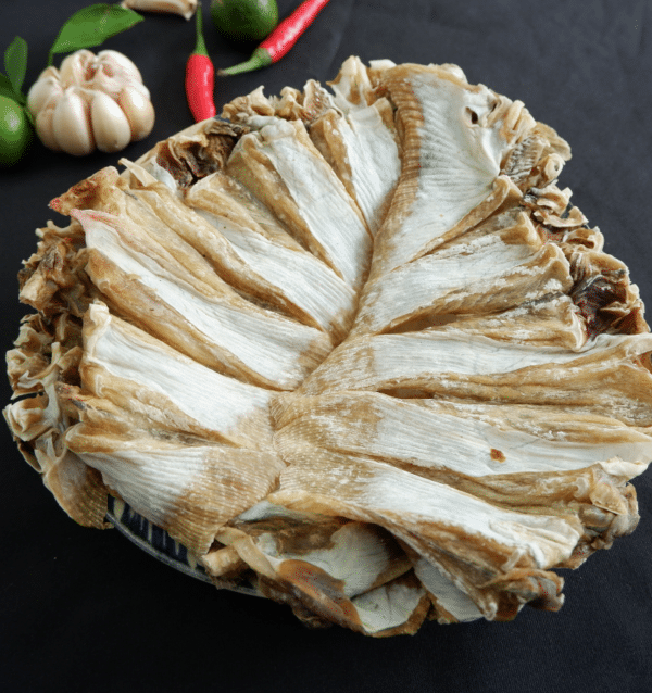 Untitled Design 2023 01 12t081831.723