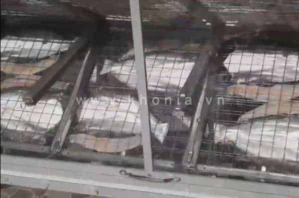 co-ly-chon-khonia-vi-tin-tuong01 cô Lý chọn Khonia vì tin tưởng 01