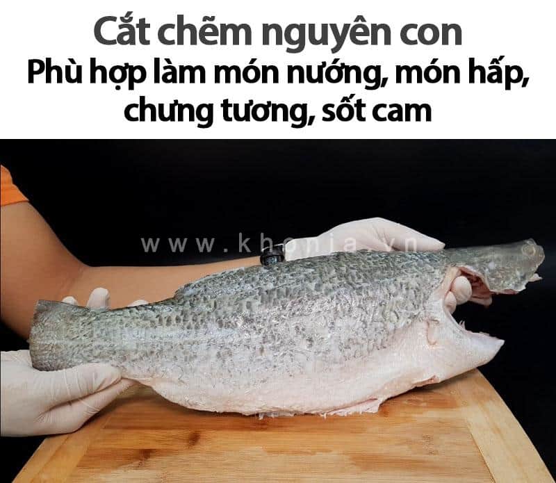 ca-chem-mua-o-dau ca-chem-gia-bao-nhieu-1kg