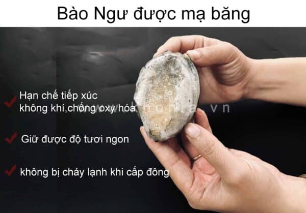 bao-ngu-nhat