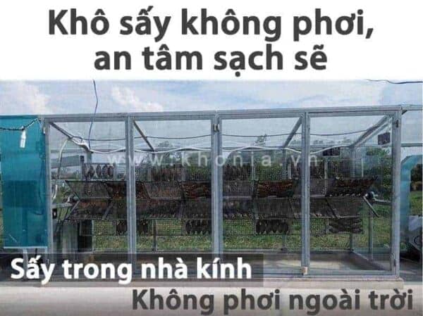 Khô Cá Basa 3 Nắng 3 kho-ca-sac-bao-nhieu-1kg1