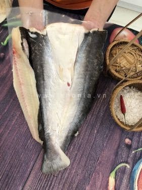 cach-bao-quan-kho-ca-dua cách bảo quản khô cá dứa