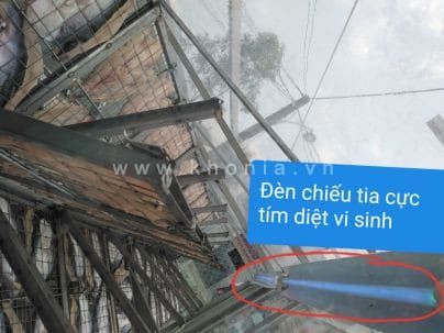 kho-ca-vi-lat02 khô cá vị lạt 02