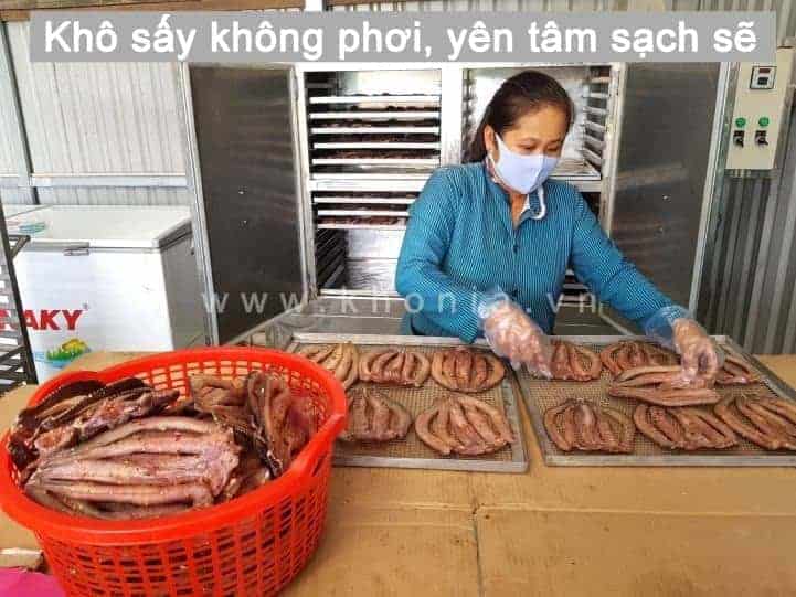 Có Nên Chọn Khô Cá KHONIA Không? 19 kho ca loc say 5 1