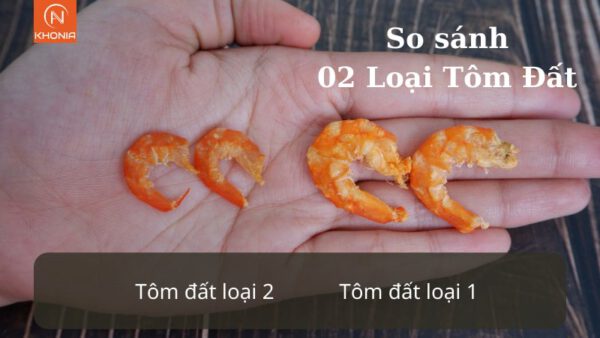 Tôm Khô Cà Mau 7 tom-dat-kho-ca-mau-3